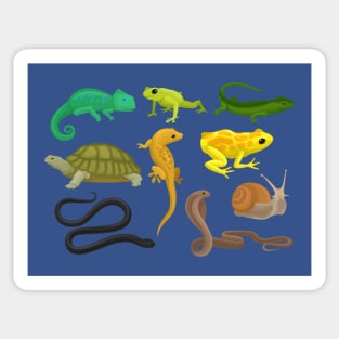 Reptile Amphibian Collection Sticker